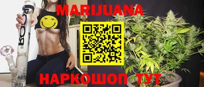 сатива Кимры