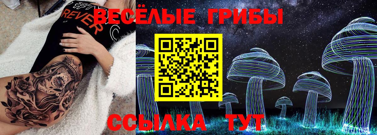 Псилоцибиновые грибы ЛСД Балашов