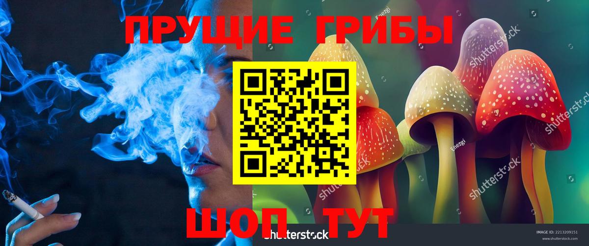 Псилоцибиновые грибы Psilocybine cubensis  Вход с VPN  Балашов 